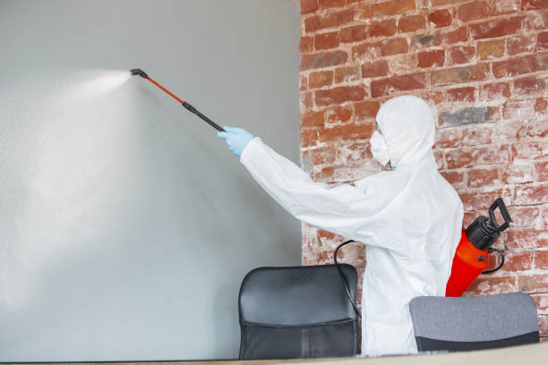 Best Mold Removal for HVAC Installations  in Las Maravillas, NM