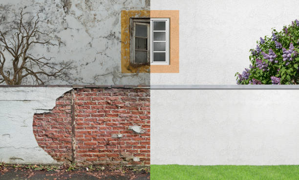 Best Basement Mold Removal  in Las Maravillas, NM
