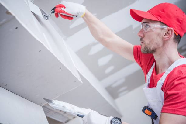  Las Maravillas, NM Mold Removal Pros