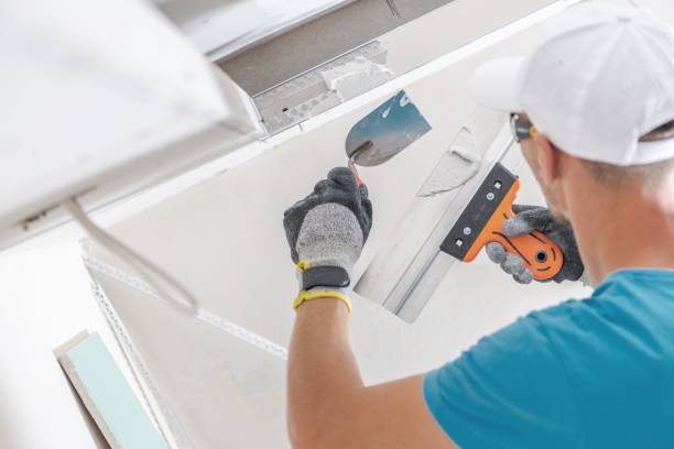 Best Environmental Consulting for Mold Prevention  in Las Maravillas, NM